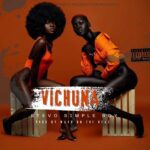 Stevo Simple Boy – Vichuna Lyrics
