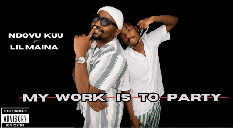 NDOVU KUU - MY WORK IS TO PARTY LYRICS