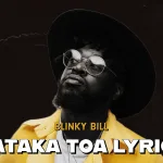 Blinky Bill – Nataka Toa Lyrics
